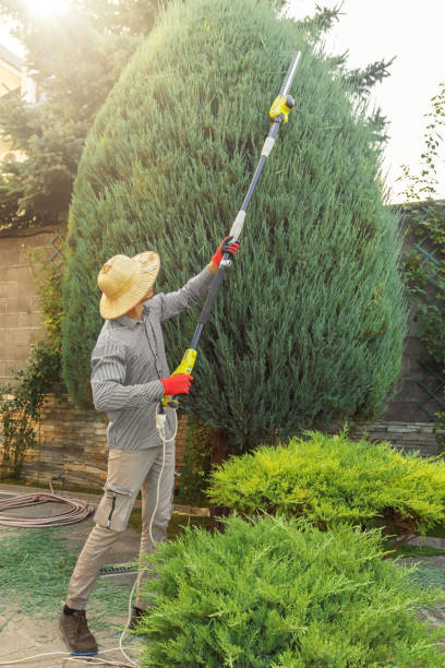 Best Organic Lawn Care Solutions  in Cochituate, MA