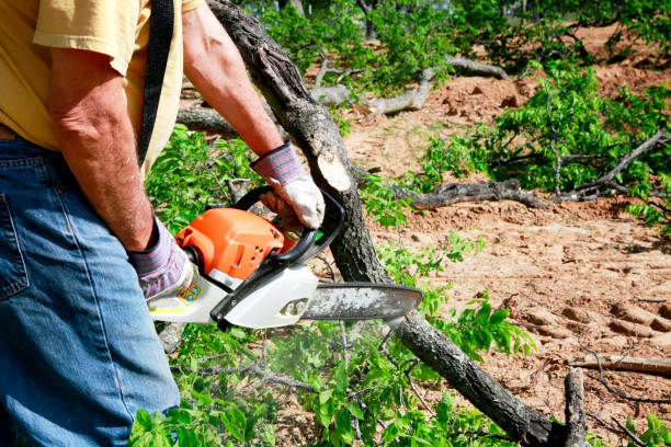 Soil Testing and Treatment in Cochituate, MA